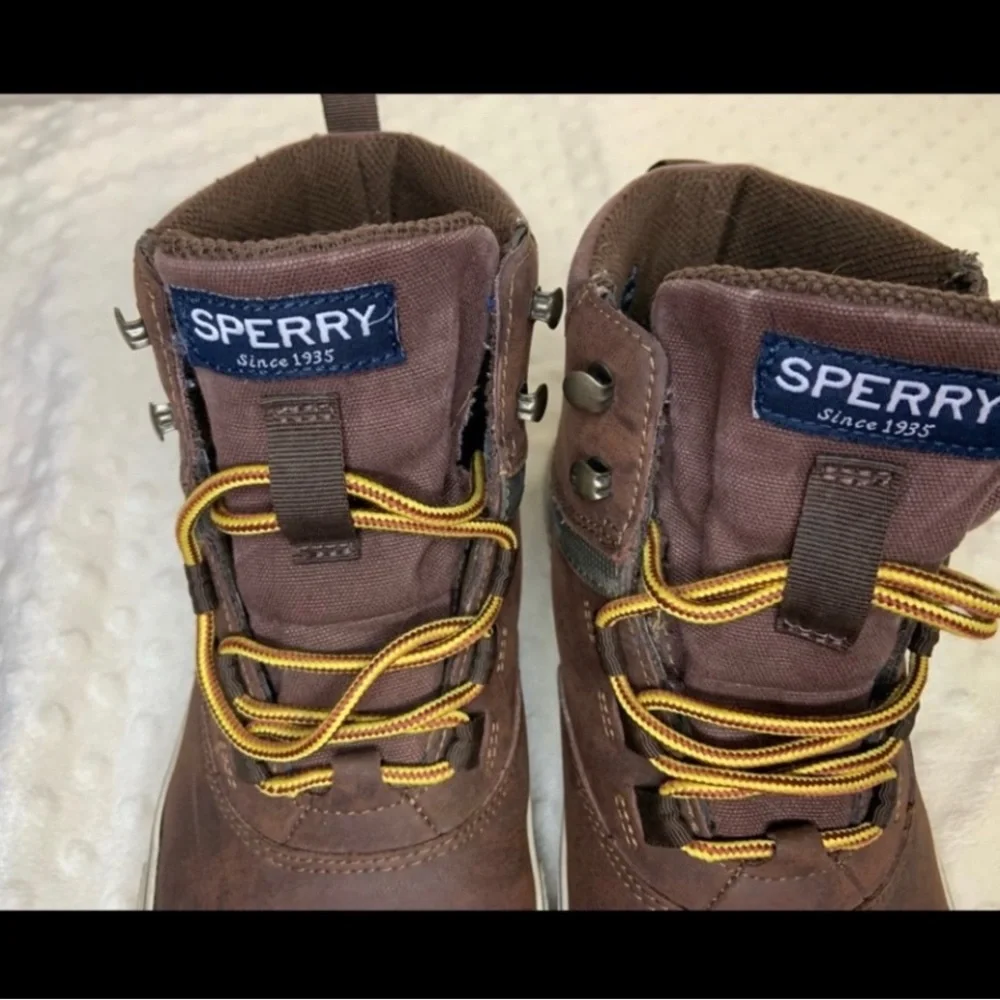 Sperry men’s boots